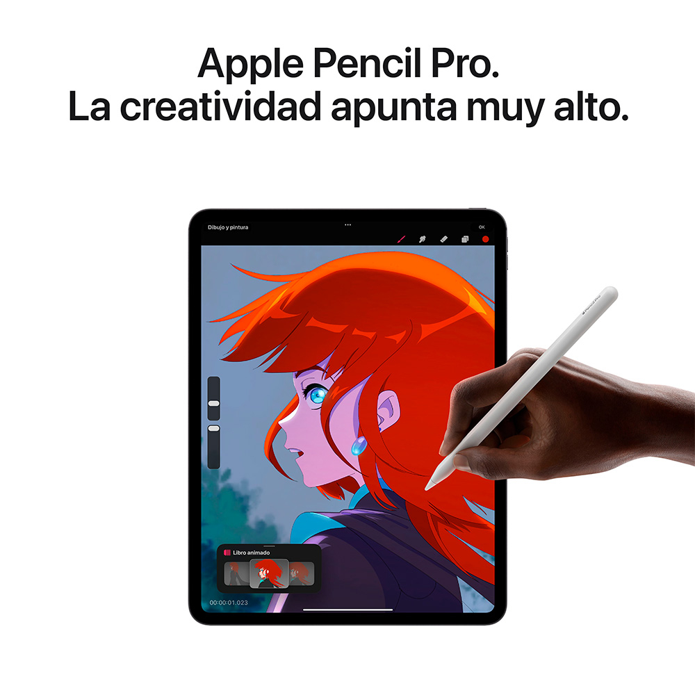 iPad Pro 11