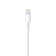 Cable de conector Lightning a USB 2.0 (1m) de Apple