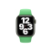 Correa para Apple Watch 38/ 40/ 41 Verde Brillante de Apple
