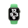 Correa para Apple Watch 42/ 44/ 45 Verde brillante de Apple